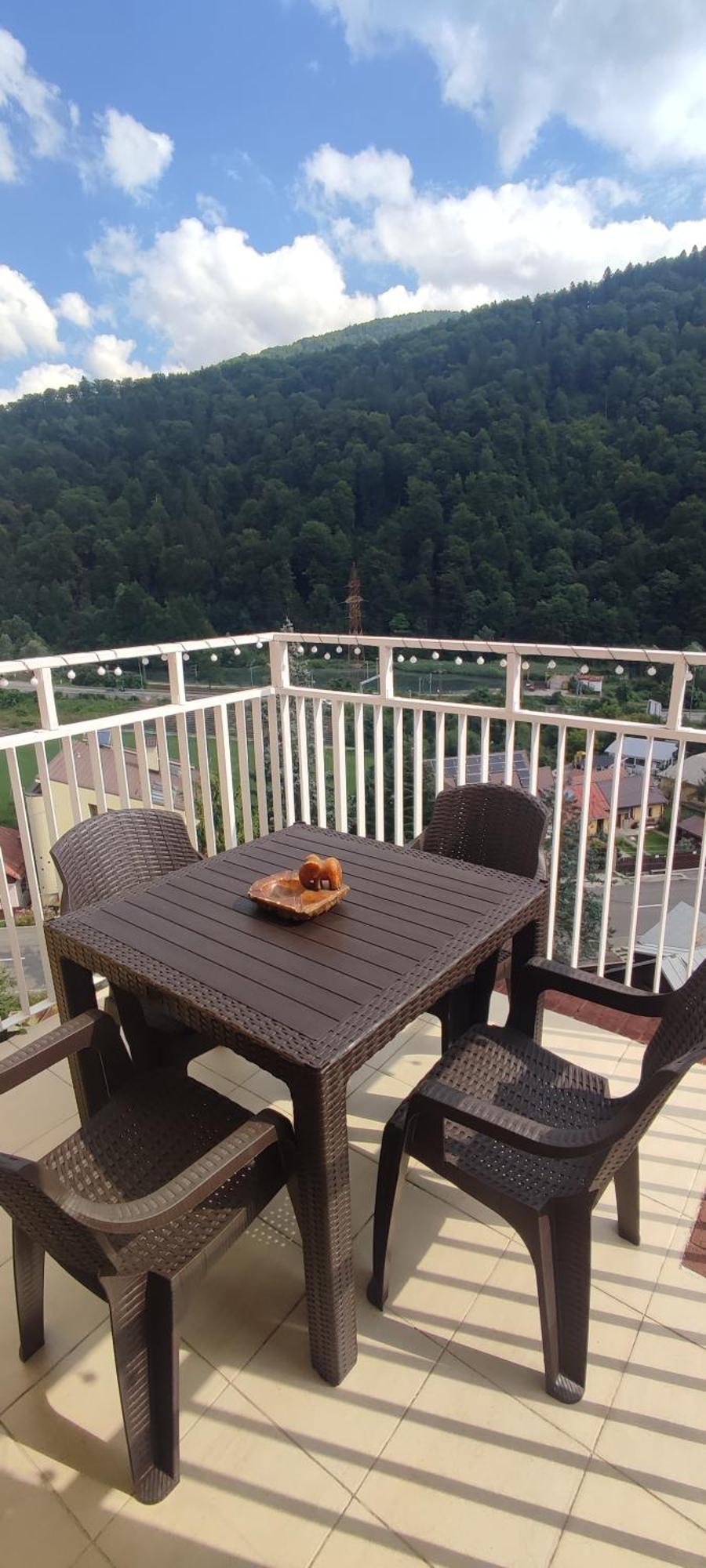 Duplex Belle View Sinaia-free Parking *